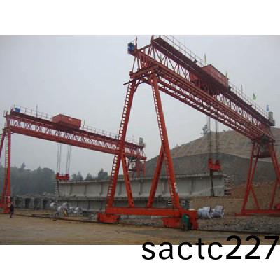 通用(yong)門式起重機(ji)10